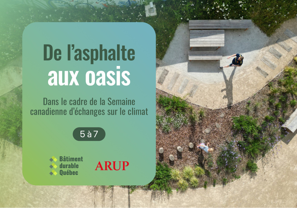 De l’asphalte aux oasis De l’asphalte aux oasis